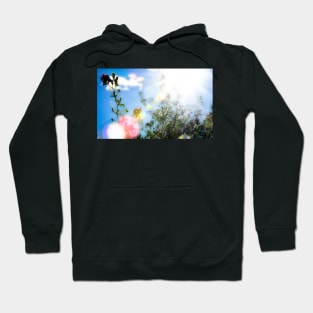 Sun orbs Hoodie